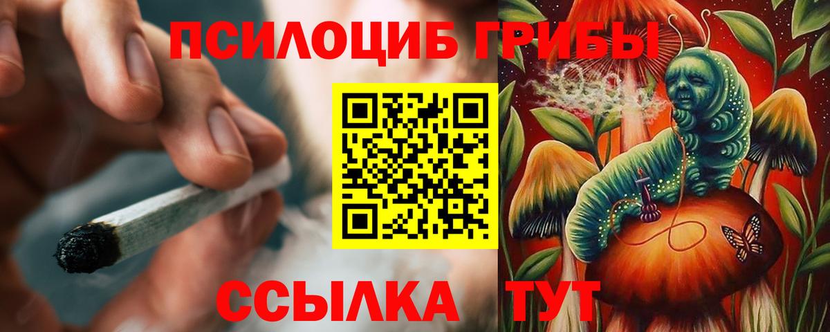 Галлюциногенные грибы Cubensis  Вход с VPN  Черкесск 
