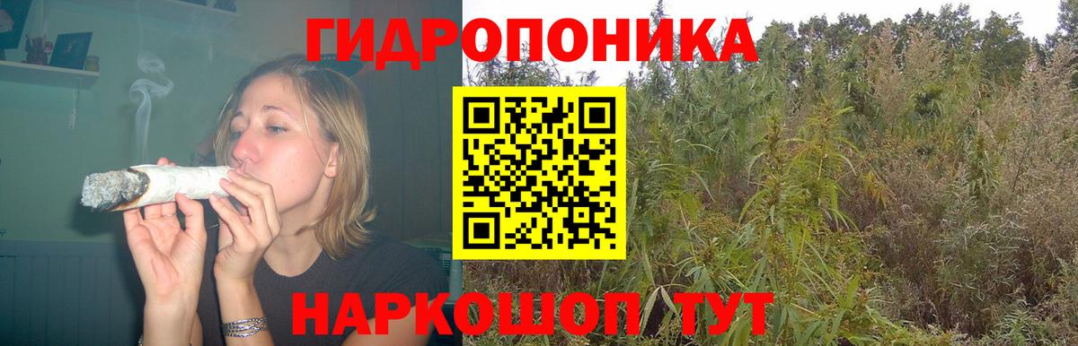 Шишки марихуана индика  Каннабис индика  Вход с VPN  Бошки Шишки Bruce Banner  Шишки марихуана White Widow  Черкесск 